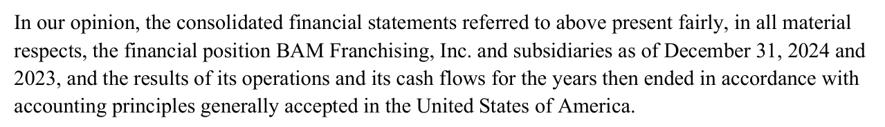 2025 edition, PDF p302: unqualified auditor's opinion, financial statements 