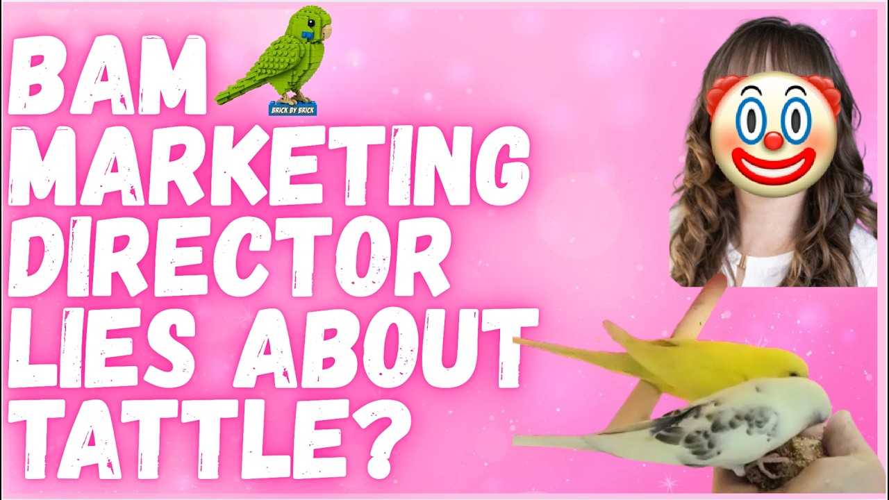 DFJ live stream on BAM&rsquo;s marketing director and Tattle the bird
