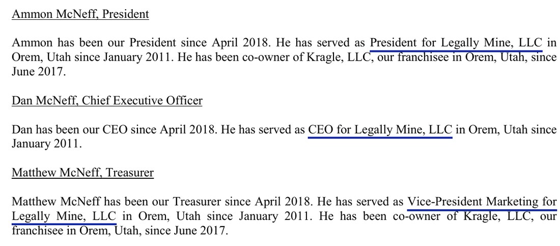 Item 2, Business Experience, 2018 edition. Ammon McNeff, President: Ammon has been our President since April 2018. He has served as President for Legally Mine, LLC in Orem, Utah since January 2011. Dan McNeff, Chief Executive Officer: Dan has been our CEO since April 2018. He has served as CEO for Legally Mine, LLC in Orem, Utah since January 2011. Matthew McNeff, Treasurer: Matthew McNeff has been our Treasurer since April 2018. He has served as Vice-President Marketing for Legally Mine, LLC in Orem, Utah since January 2011.